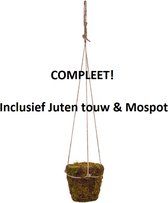 Pot & Vaas - Hangende Mospot Groen D12 H12 L70 - Hangende Pot - Hangplant voor binnen en buiten Huis - Hangpot van Mos