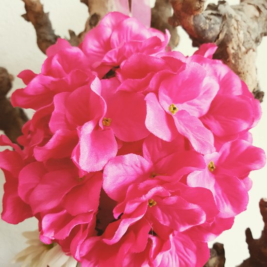 Geneeskunde elegant Gebeurt Bloemen bol hot pink aan lint - bloemen bol - roze - decoratie - trouwen -  babyshower | bol.com