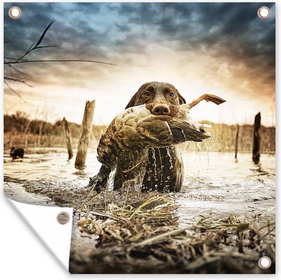 Tuin poster Een hond voltooid zijn jacht met een eend in zijn bek - 200x200 cm - Tuindoek - Buitenposter