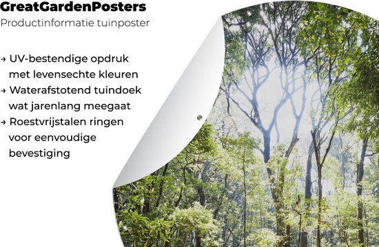 Tuincirkel De zon schijnt door een opening in het Regenwoud in Thailand - 60x60 cm - Ronde Tuinposter - Buiten