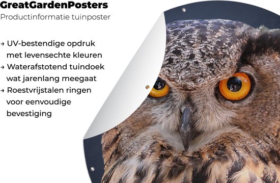 Cercle de jardin A close-up of a brown owl - 150x150 cm - Affiche de jardin ronde - Extérieur