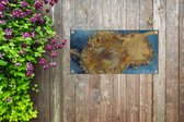 Tuinposter Zonnebloemen - Vincent van Gogh - 80x40 cm - Wanddecoratie Buiten - Tuinposter - Tuindoek - Schuttingposter - Tuinschilderij