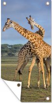 Tuinposter Giraffes - Dieren - Natuur - 30x60 cm - Tuindoek - Buitenposter
