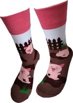 Verjaardag cadeau - Grappige sokken - Varkens modder sokken - Leuke sokken - Vrolijke sokken – Valentijn Cadeau - Luckyday Socks - Cadeau sokken - Socks waar je Happy van wordt – M