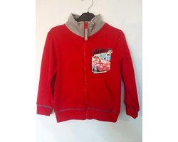 foto van Cars joggingpak - Maat 104