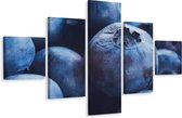 Schilderij - Blauwe bessen close-up, 5luik, premium print