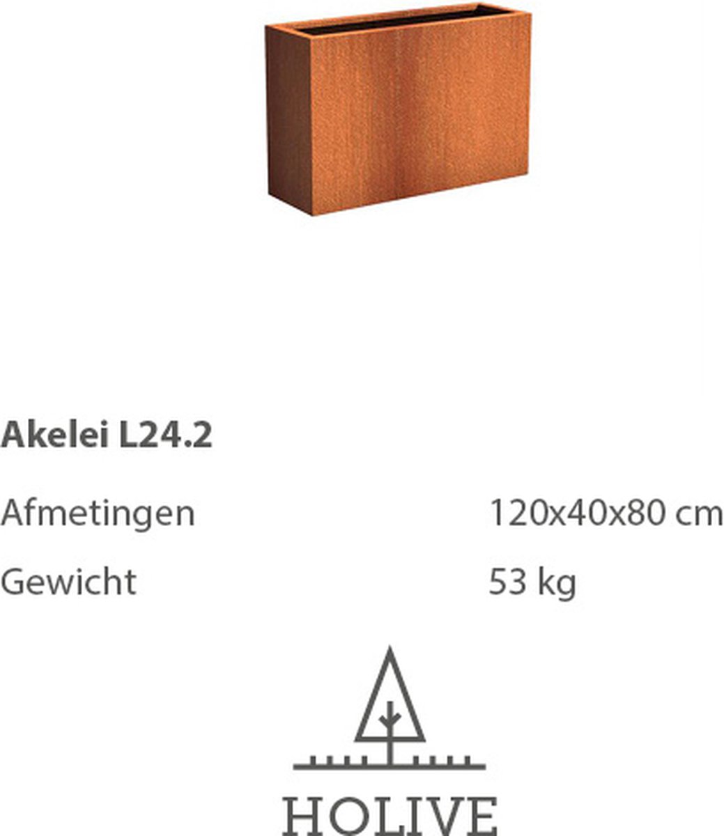 Cortenstaal Akelei L24.2 Rechthoek 120x40x80 cm. Plantenbak