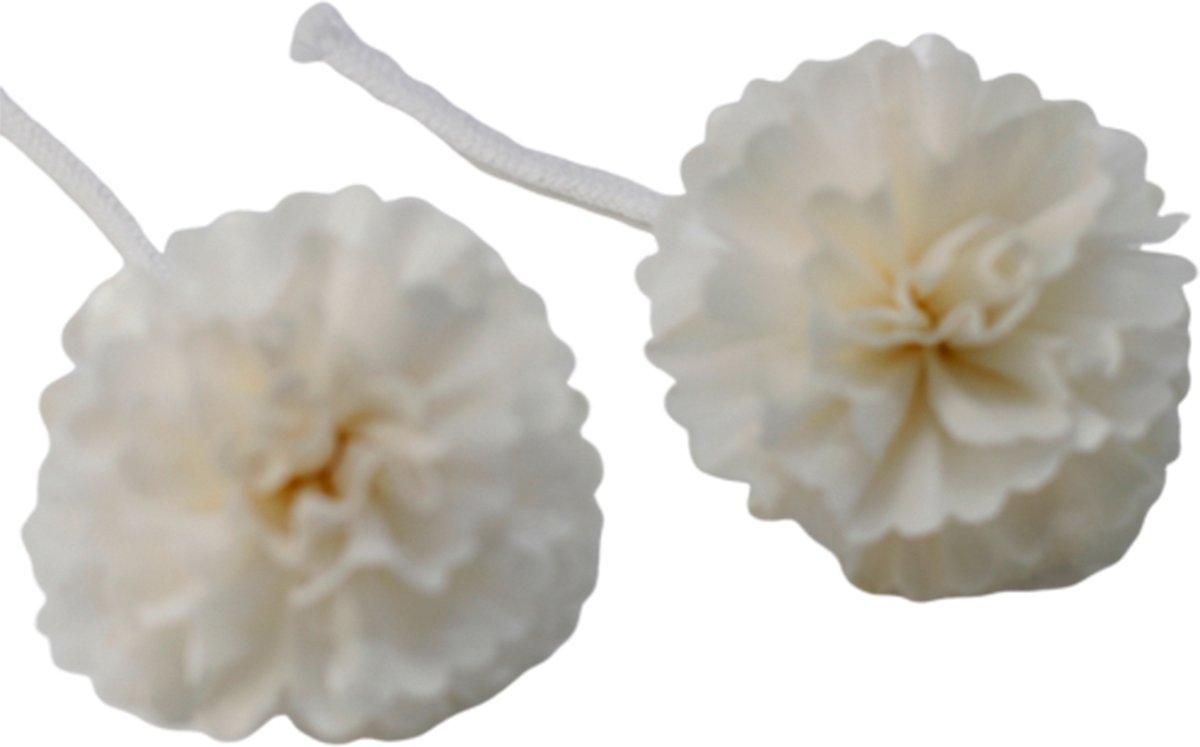 Natuurlijke Diffuserbloemen – Medium – Anjer aan touw – Set van 4 – Ancient Wisdom