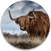 Wandcirkel Buffel | ⌀ 100 cm | Wanddecoratie | Muurcirkel Binnen | Forex | Ronde Schilderijen