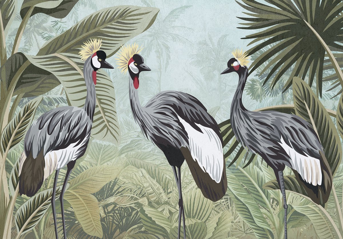 Behangpapier Jungle Kraanvogels XXL – Tropisch Fotobehang – 368 x 254 cm – Groen