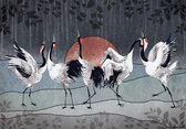 Vliesbehang Dansende Kraanvogels XXL – Fotobehang Japanse kraanvogels– 368 x 254 cm