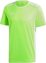 adidas Entrada 18 Trikot Heren Sportshirt - Solar Green/Wit - Maat M