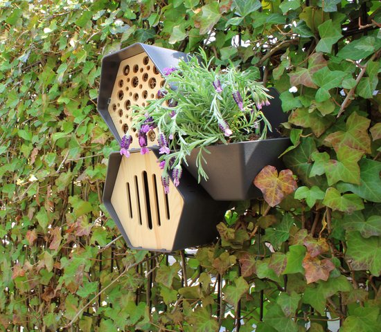 Capi Europe - Plantenbakje Hive - 19x23x20 - Antraciet - Capi ...