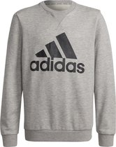 adidas Essentials Trui Unisex - Maat 164