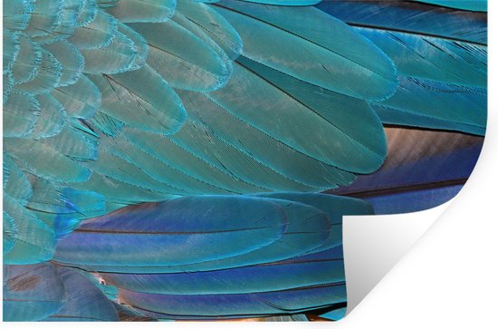 Muurstickers - Sticker Folie - Turquoise veren - 30x20 cm - Plakfolie - Muurstickers Kinderkamer - Zelfklevend Behang - Zelfklevend behangpapier - Stickerfolie