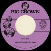 Bacao Rhythm & Steel Band - Raise It Up (7" Vinyl Single)