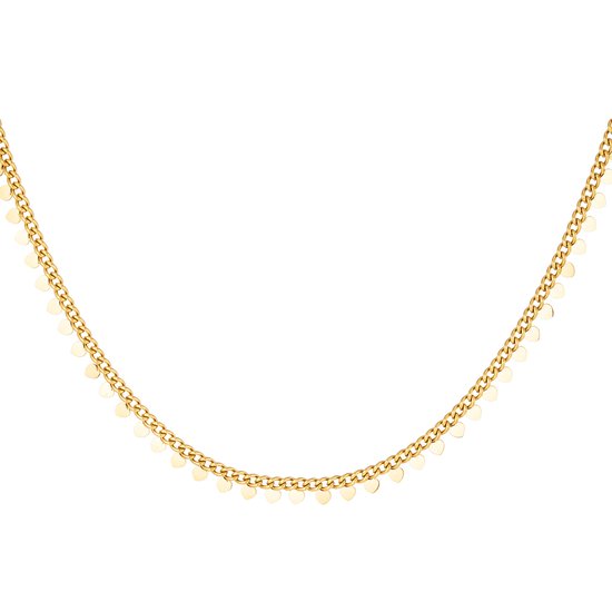 Stainless steel - ketting - hartjes party - goud