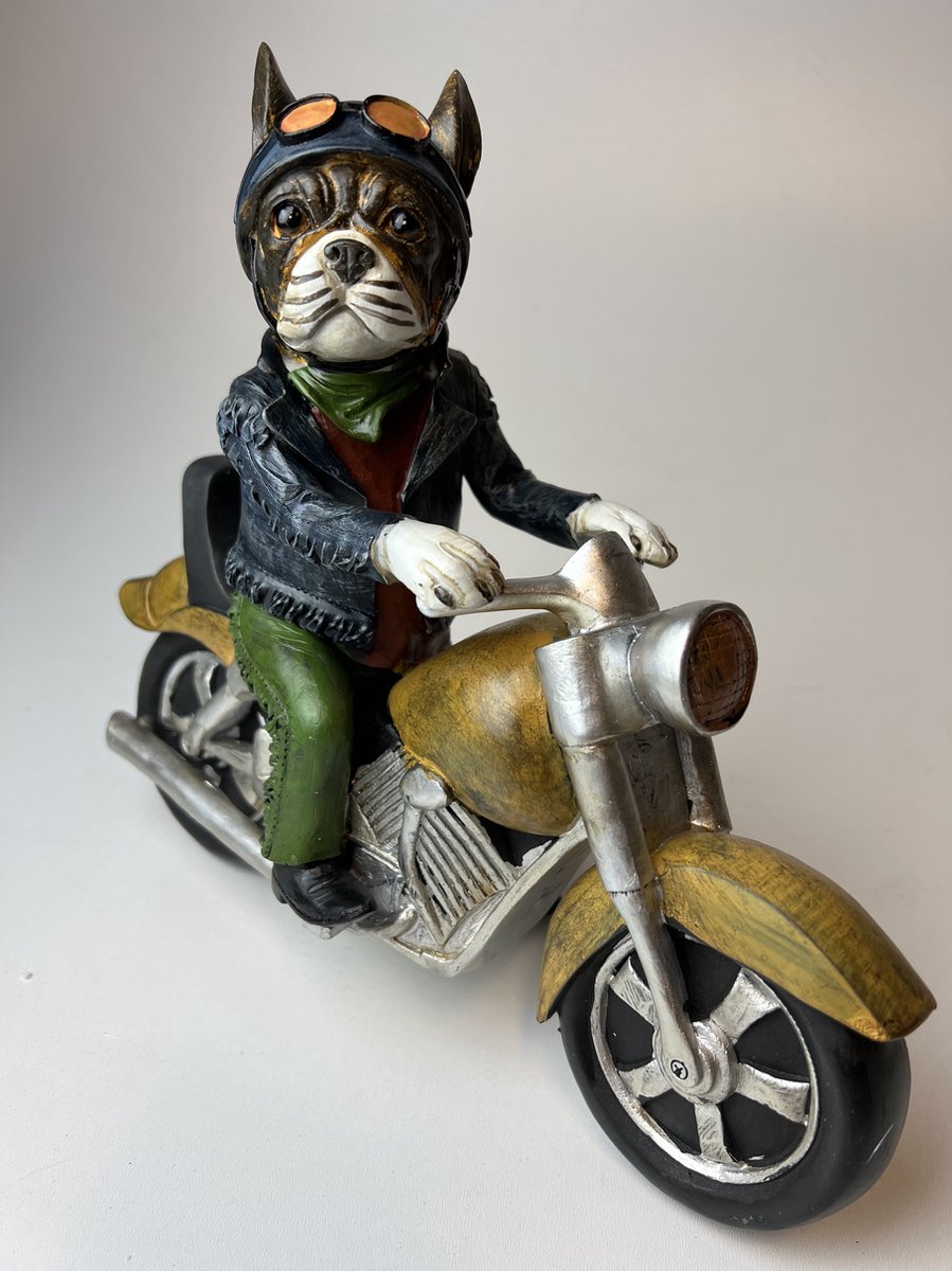 Hond op motor