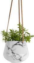 Oneiro Luxe Bloempot Planter ceramic Ø13x13 cm Wit – hotel chique - binnen ––– accessoires – tuin – decoratie – bloemen – mat – glans – industrieel - droogbloemen - Buiten bloempot