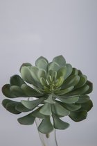 Kunstplant - Magician meaty - topkwaliteit decoratie - 2 stuks - zijden verplant - Grijs - 14 cm hoog