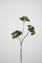 Kunsttak - Sedum - topkwaliteit decoratie - 2 stuks - zijden plant - Groen - 46 cm hoog