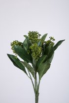 Kunstplant - Skimmia - topkwaliteit decoratie - 2 stuks - decoratieve tak - Groen - 30 cm hoog