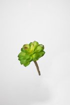 Kunstplant - Echeveria - vetplant - cactus - topkwaliteit decoratie - 2 stuks - decoratie plant - Groen - 12 cm hoog