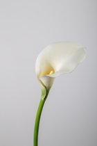 Kunstbloem - Callalelie - topkwaliteit decoratie - 2 stuks - zijden bloem - Wit - 48 cm hoog