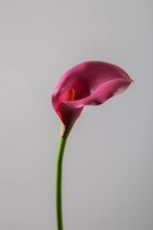 Kunstbloem - Callalelie - topkwaliteit decoratie - 2 stuks - zijden bloem - Fuchsia - Cerise - 48 cm hoog