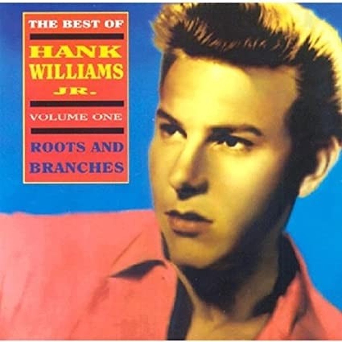 Hank Williams Jr. - Best Of Volume 1 / Roots And Branches (CD)