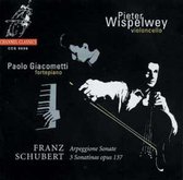Pieter Wispelwey & Paolo Giacometti - Schubert: Arpeggione Sonate/3 Sonatinas Op.13 (CD)