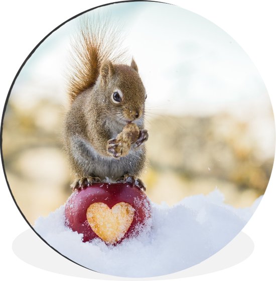 WallCircle - Wandcirkel - Muurcirkel - Eekhoorn op appel waar een hartje uit mist - Aluminium - Dibond - ⌀ 60 cm - Binnen en Buiten