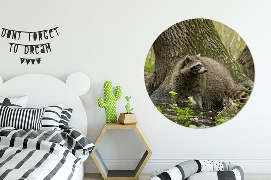 WallCircle - Wandcirkel - Muurcirkel - Wasbeer - Wild - Bos - Aluminium - Dibond - ⌀ 140 cm - Binnen en Buiten