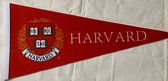 Harvard University - Harvard - NCAA - Vaantje - American Football - Sportvaantje - Wimpel - Vlag - Pennant - Universiteit - Ivy League amerika - 31 x 72 cm