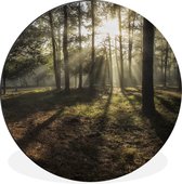 WallCircle - Wandcirkel - Muurcirkel - Bos - Zon - Mist - Aluminium - Dibond - ⌀ 140 cm - Binnen en Buiten