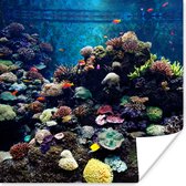 Poster Aquarium met tropische vissen en koralen - 30x30 cm