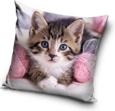 Poes Kitten met wol Sierkussen Kussen 40x40cm inclusief vulling