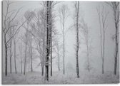 Alu-Dibond Landschappen Winters bos 100x140 cm Aluminium - Reinders
