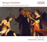 Sarah Van Mol - Oltremontano & Wim Becu - Baroque Consolation (CD)