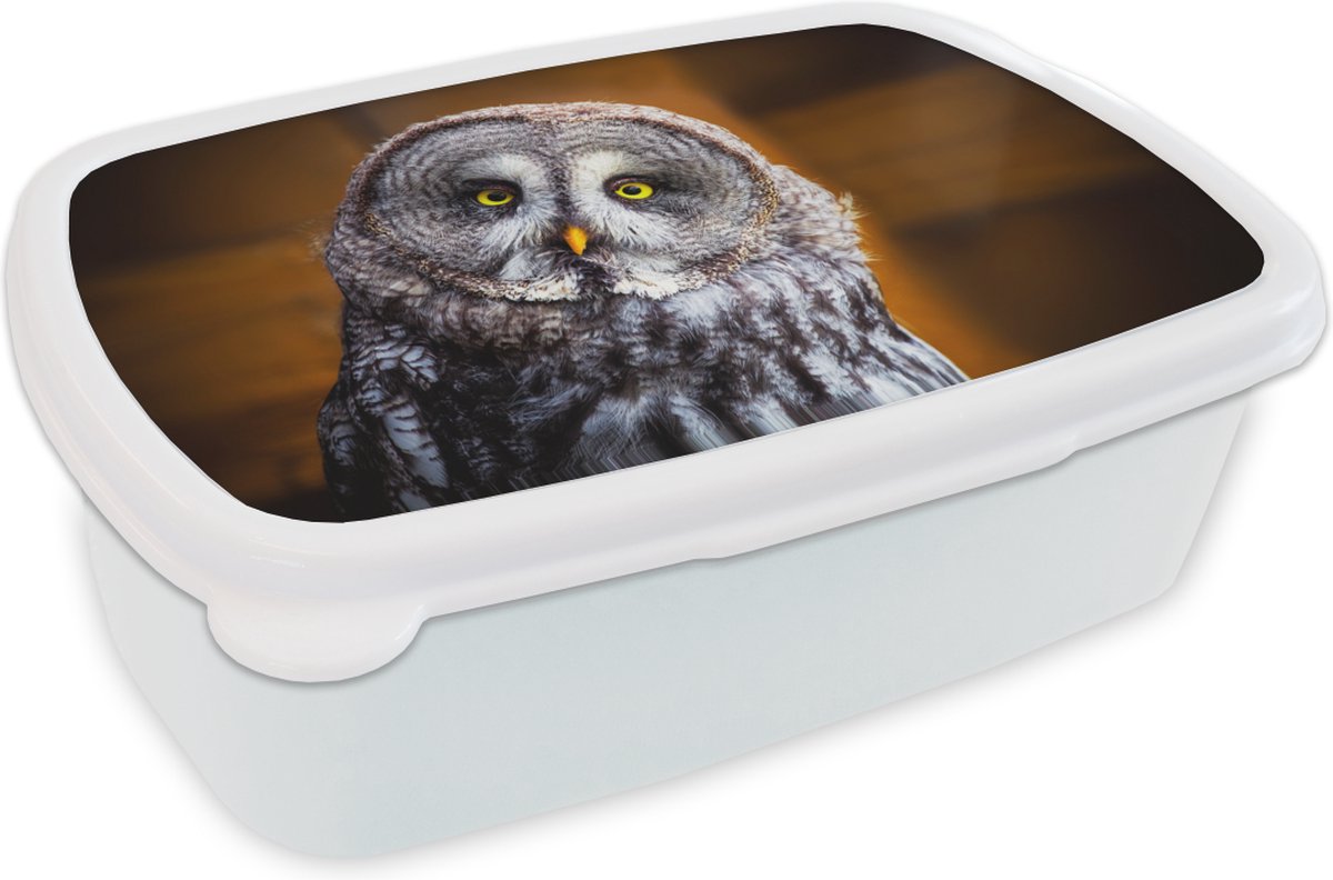Broodtrommel Wit - Lunchbox - Brooddoos - Portret van de laplanduil - 18x12x6 cm - Volwassenen
