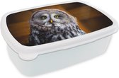 Boîte à pain Wit - Boîte à lunch - Boîte à pain - Portrait de la chouette lapone - 18x12x6 cm - Adultes - Cadeau Sinterklaas - Distribution de cadeaux pour enfants - Cadeaux chaussures Sinterklaas