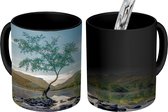 Magische Mok - Foto op Warmte Mok - Eenzame boom in meer van Llanberis, Gwynedd, Wales, VK - 350 ML - Uitdeelcadeautjes