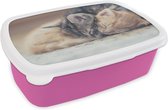 Broodtrommel Roze - Lunchbox - Brooddoos - Slapende kittens - 18x12x6 cm - Kinderen - Meisje