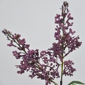 Fabulous Flowers - 3 stuks sering lila 56 cm - kunstsering