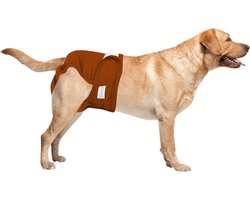 Loopsheidbroekje Hond - XL - Hondenluier - Bruin - Wasbaar - Voor loopse teefjes - Bij incontinentie en sterilisatie