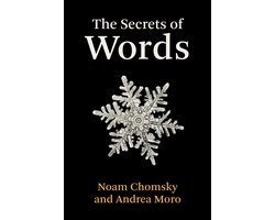 The Secrets of Words