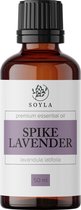 Spijklavendelolie - 50 ml - 100% Puur - Etherische olie van Spijklavendel olie - Spike Lavender