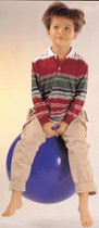 Jumping ball 55 cm.