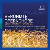 Münchner Rundfunkorchester, Chor Des Bayerischen Rundfunks - Fuoco Di Gioia! - Famous Opera Choruses (CD)