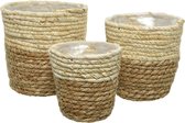 Decoris Bloempot Waterhyacint Set Van 3 - Buitenpot - 14x14x14 cm Bruin